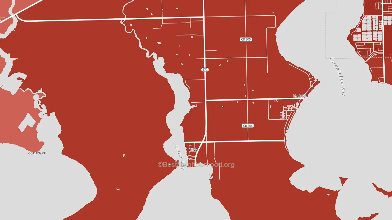 Olivia, TX block-group political-lean map