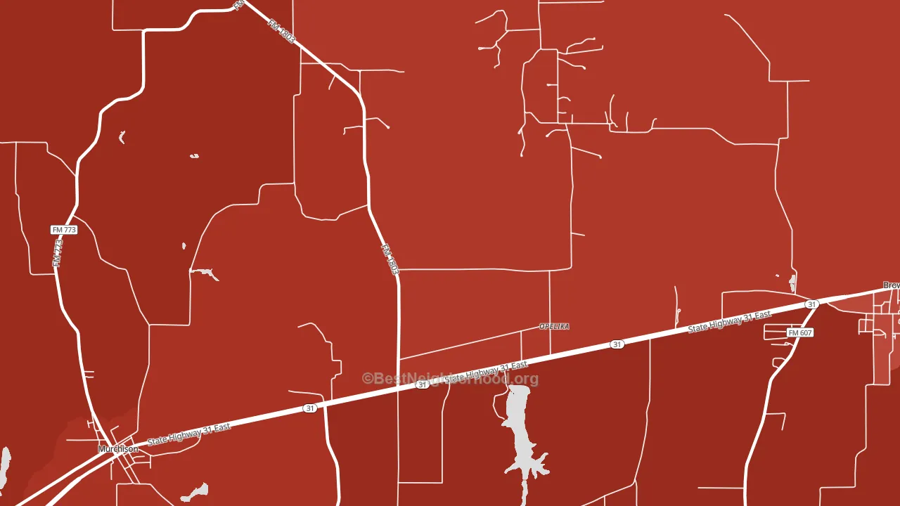 Opelika, TX block-group political-lean map