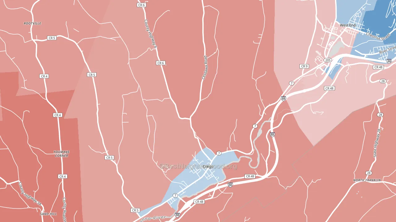 Otego, NY block-group political-lean map
