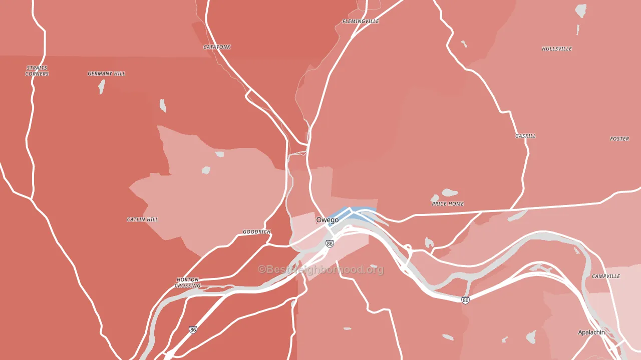 Owego, NY block-group political-lean map