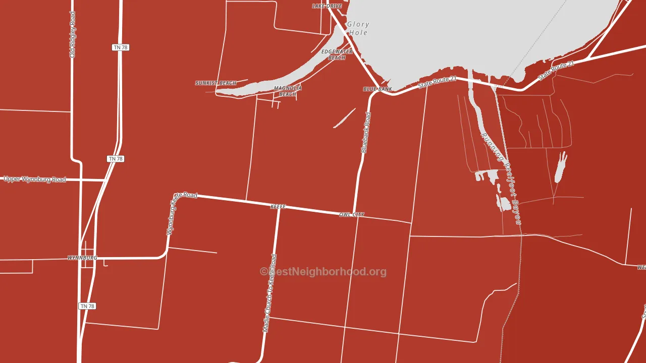 Owl City, TN block-group political-lean map