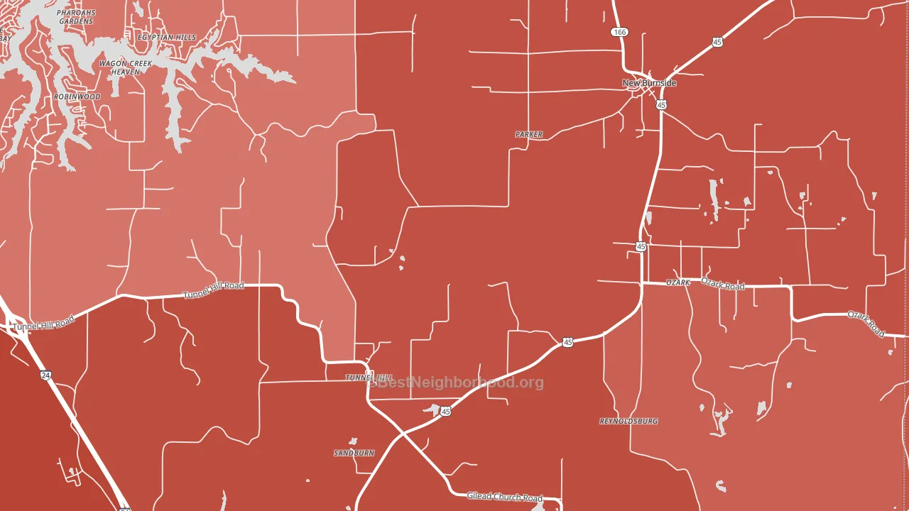 Ozark, IL block-group political-lean map