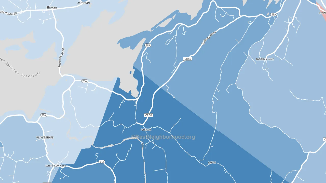 Pacama, NY block-group political-lean map