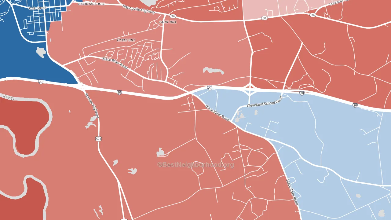 Paint Hill, SC block-group political-lean map