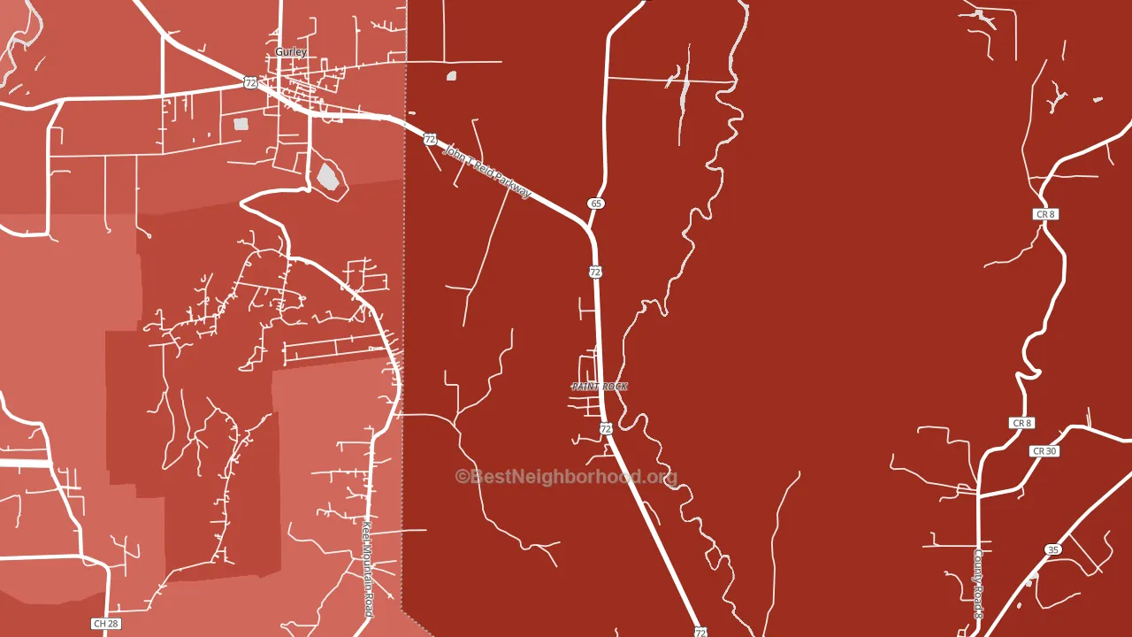 Paint Rock, AL block-group political-lean map