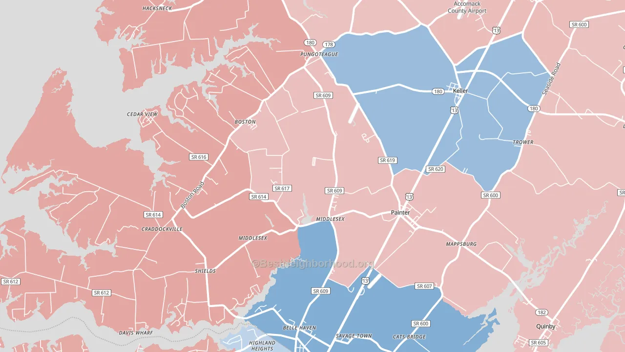 Painter, VA block-group political-lean map