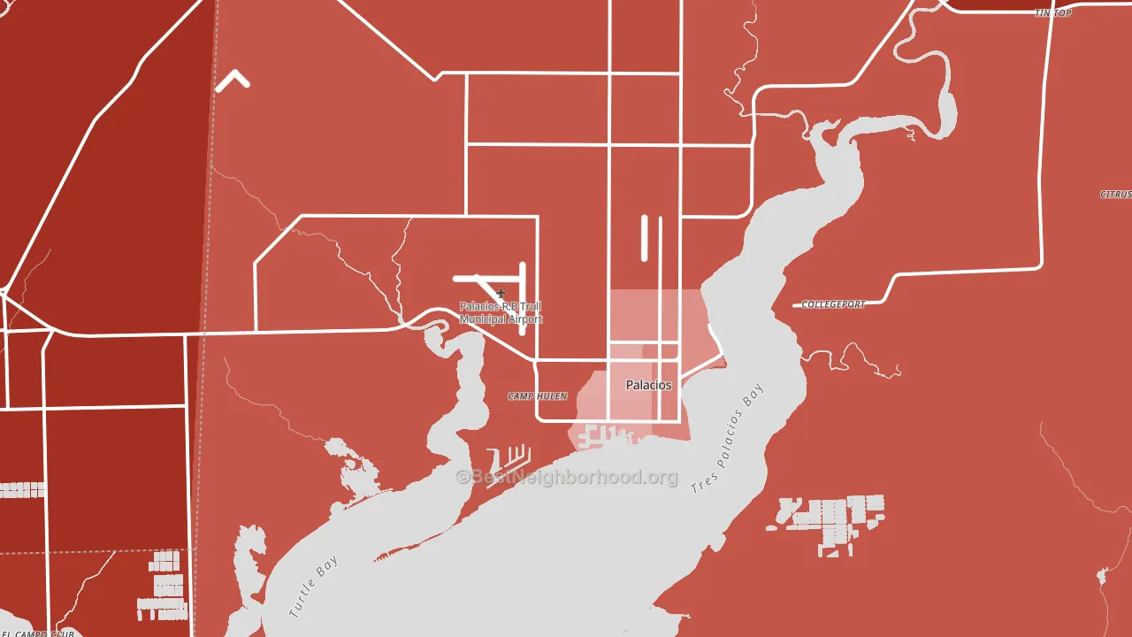 Palacios, TX block-group political-lean map