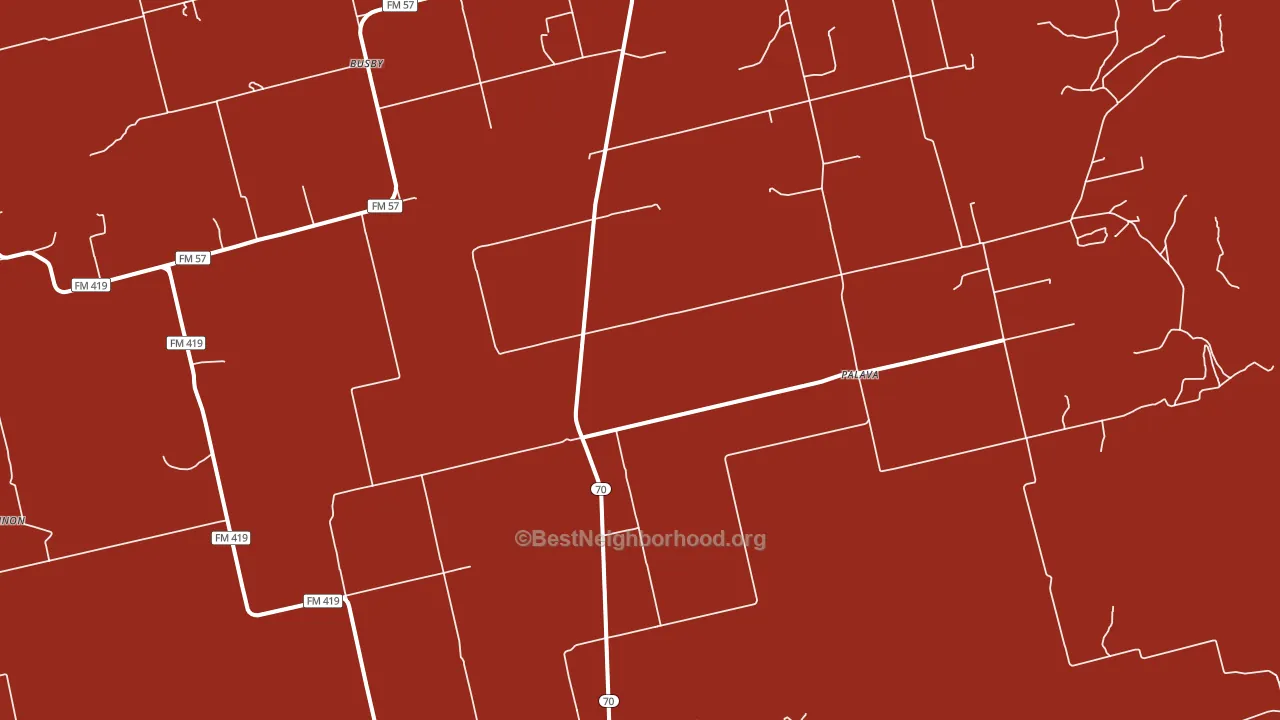 Palava, TX block-group political-lean map