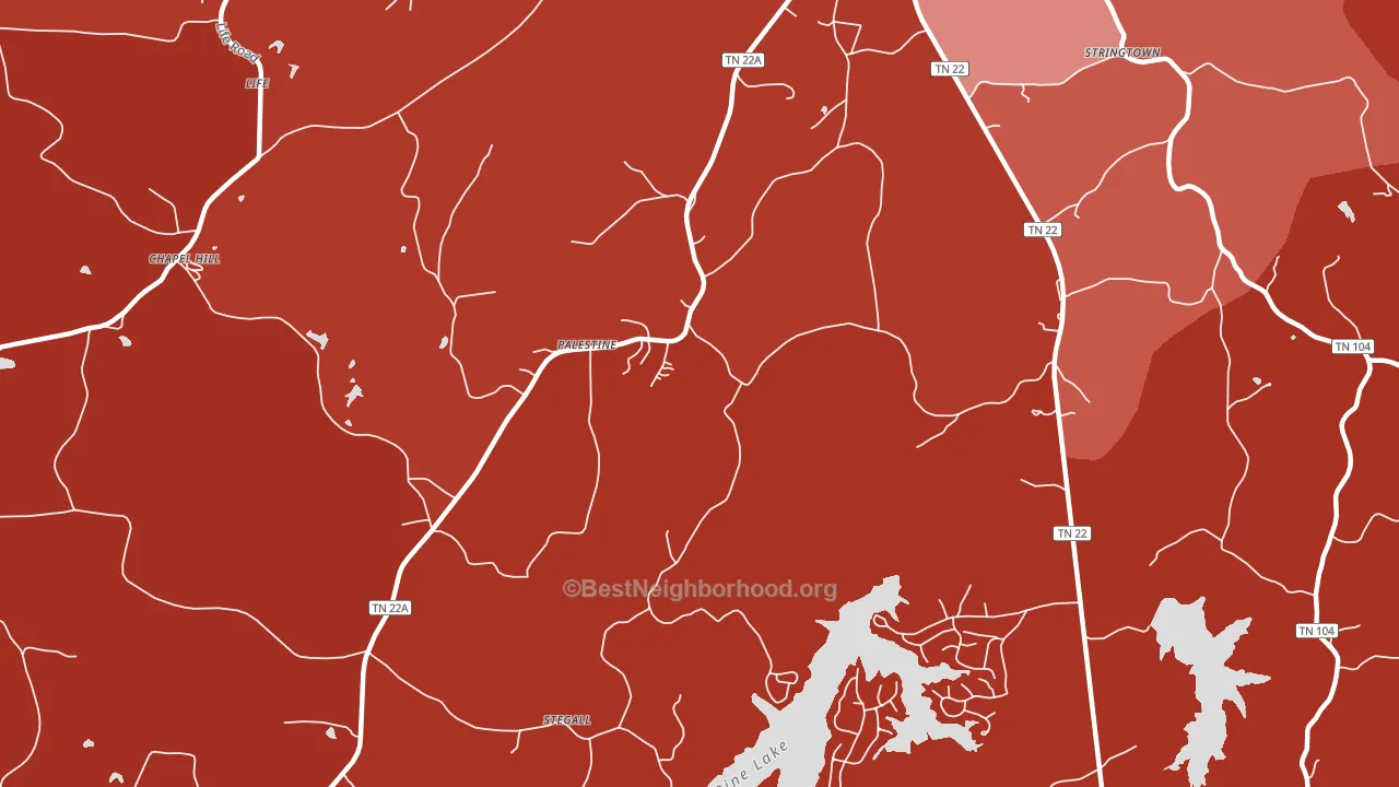 Palestine, TN block-group political-lean map