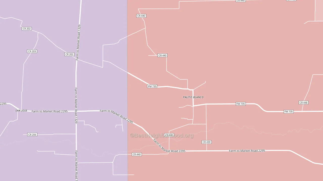Palito Blanco, TX block-group political-lean map