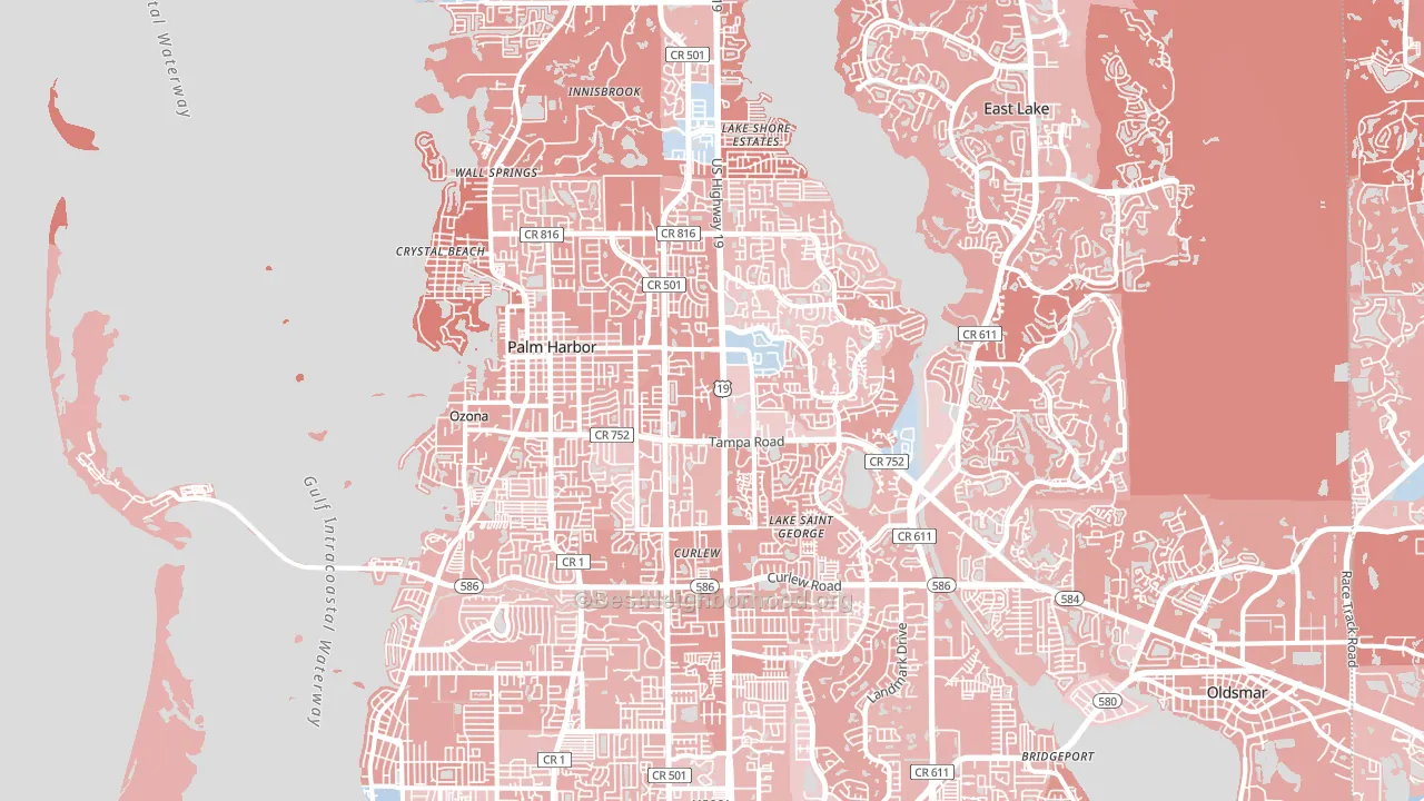 Palm Harbor, FL block-group political-lean map