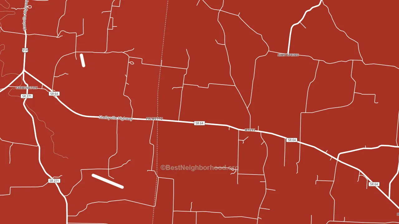 Palmetto, TN block-group political-lean map