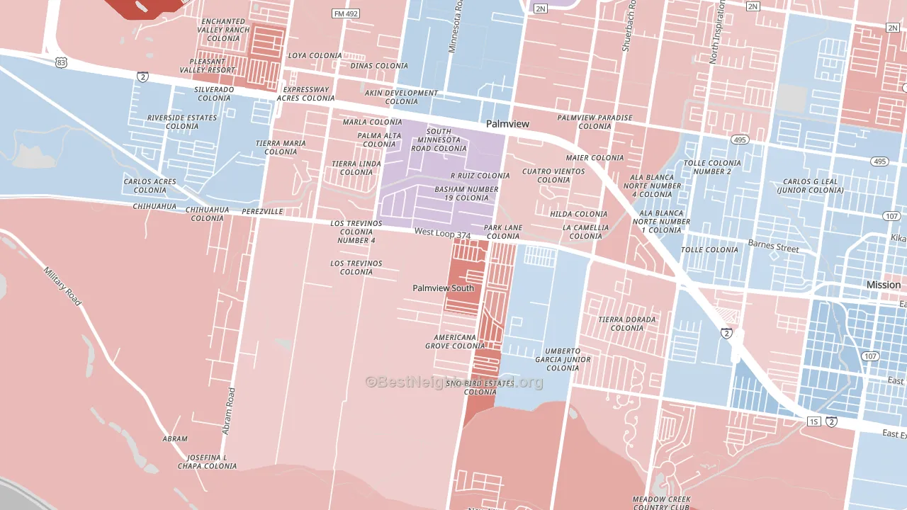 Palmview South, TX block-group political-lean map