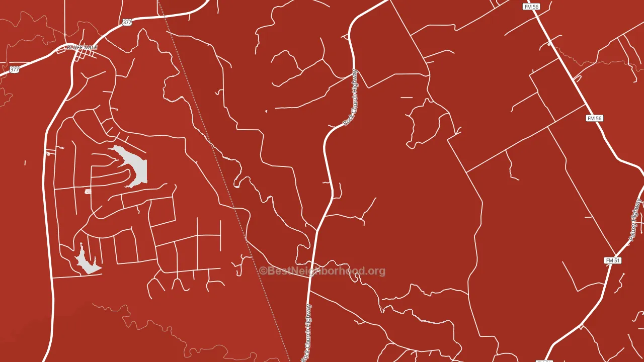 Paluxy, TX block-group political-lean map
