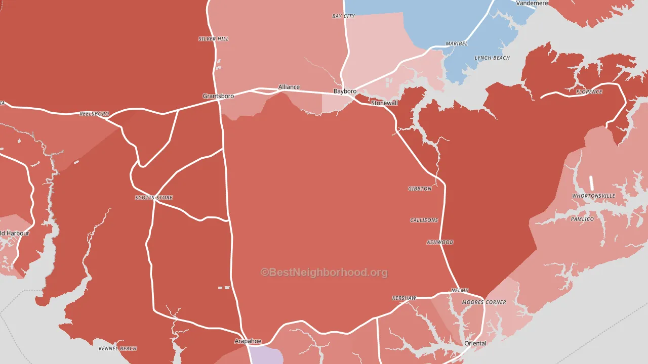 Pamlico County, NC block-group political-lean map