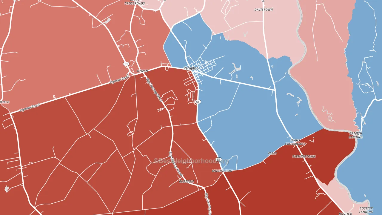 Pamplico, SC block-group political-lean map