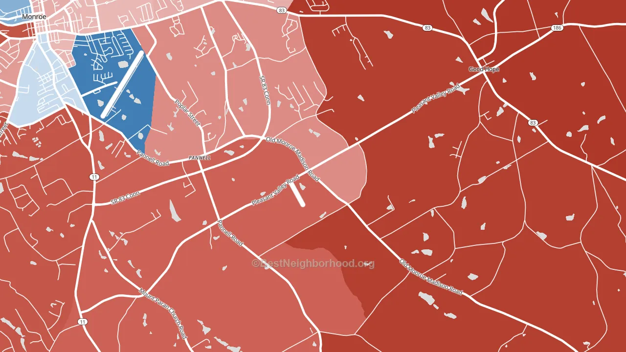 Pannell, GA block-group political-lean map