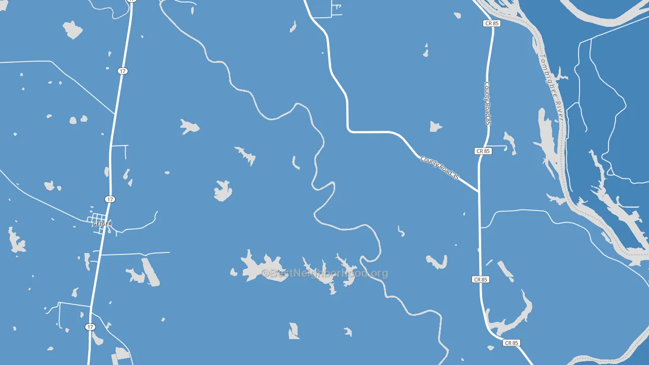 Panola, AL block-group political-lean map