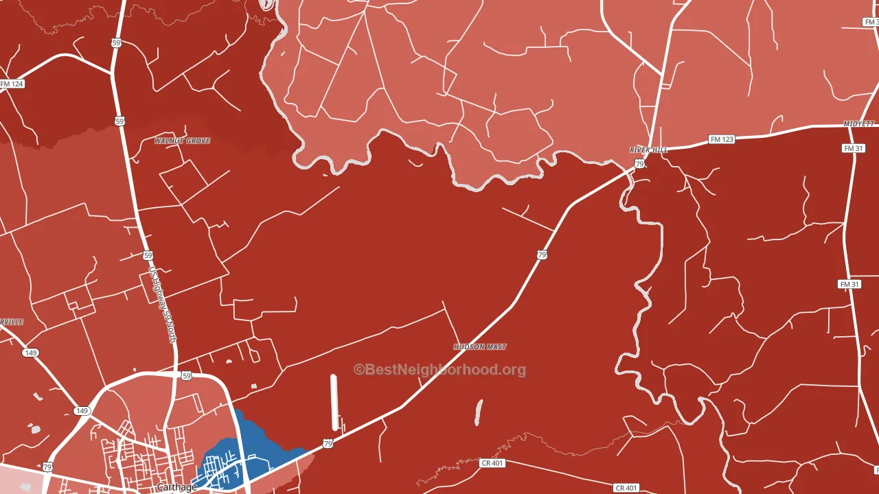 Panola, TX block-group political-lean map