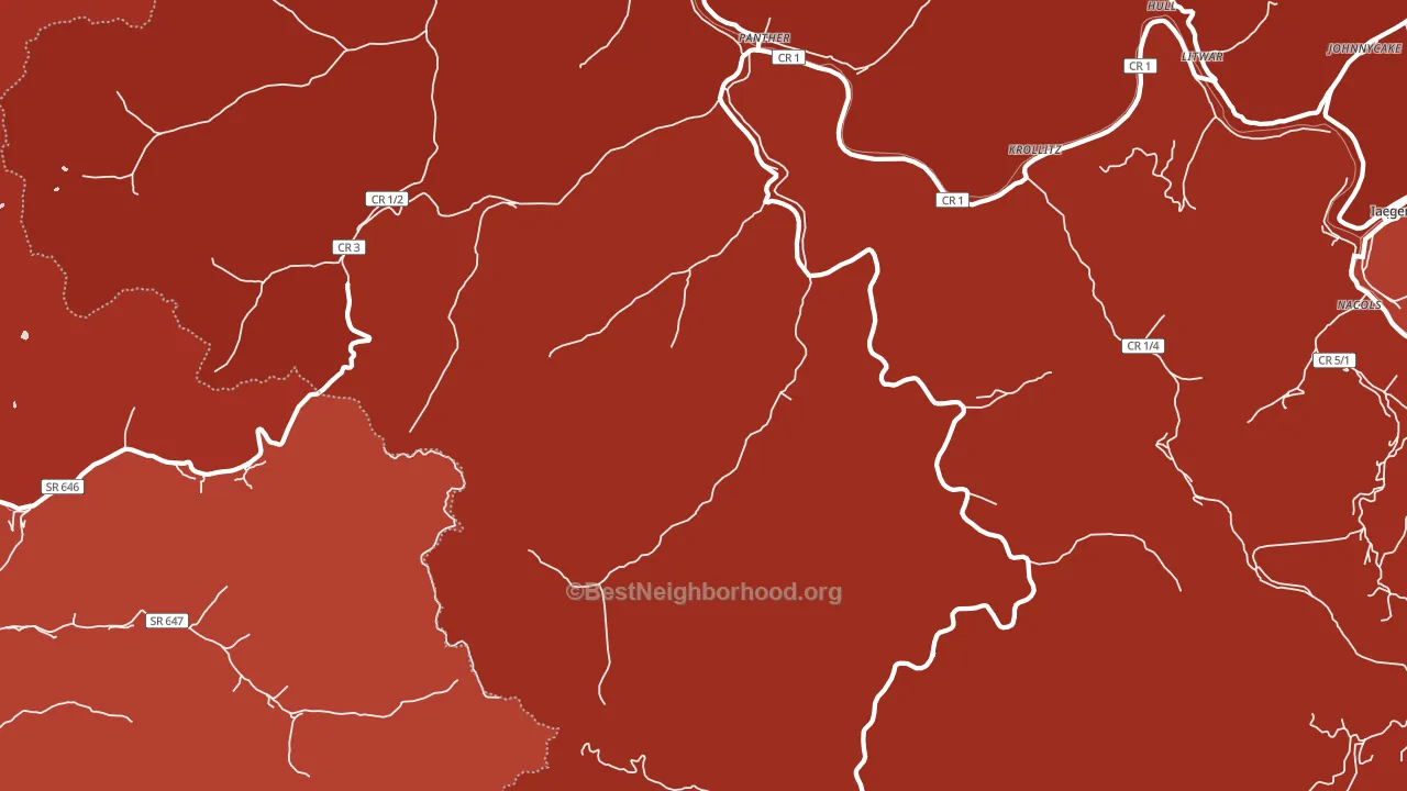 Panther, WV block-group political-lean map