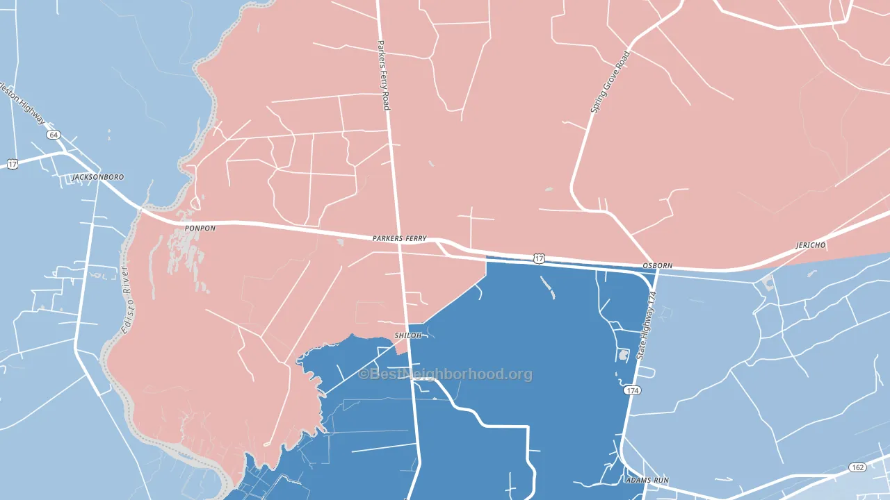 Parkers Ferry, SC block-group political-lean map