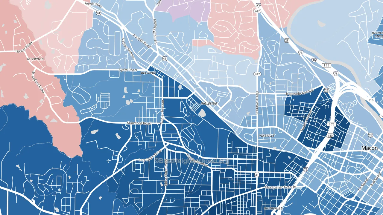 Payne, GA block-group political-lean map