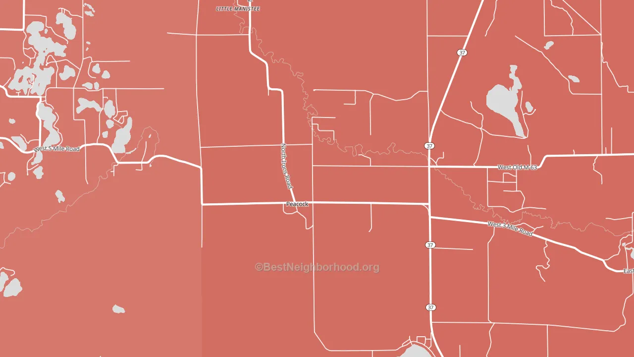 Peacock, MI block-group political-lean map