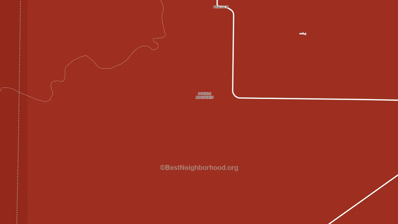 Peacock, TX block-group political-lean map