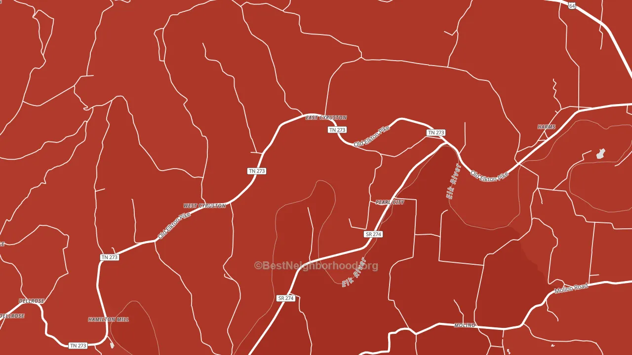Pearl City, TN block-group political-lean map