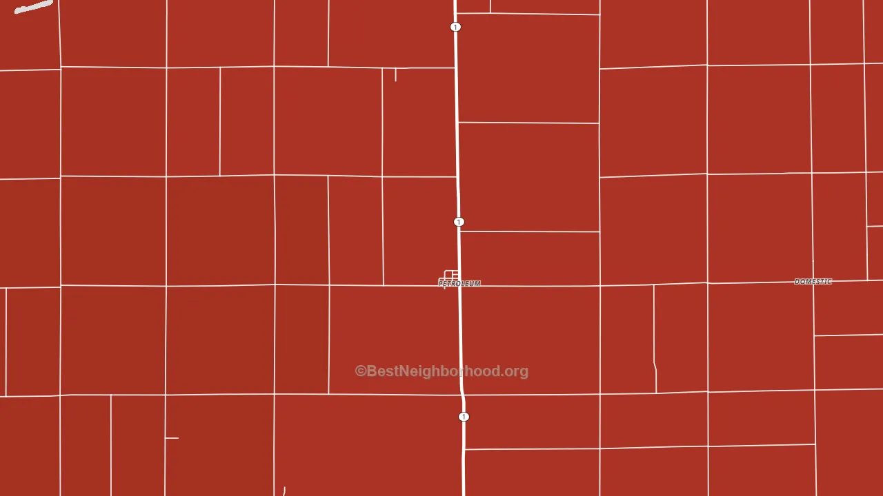 Petroleum, IN block-group political-lean map