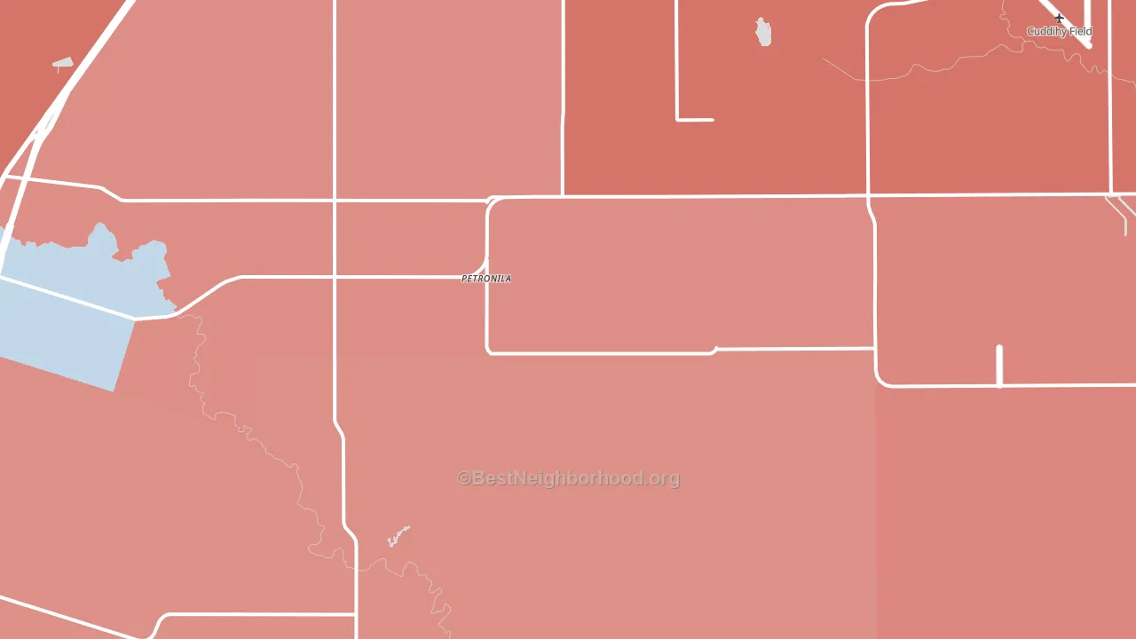 Petronila, TX block-group political-lean map