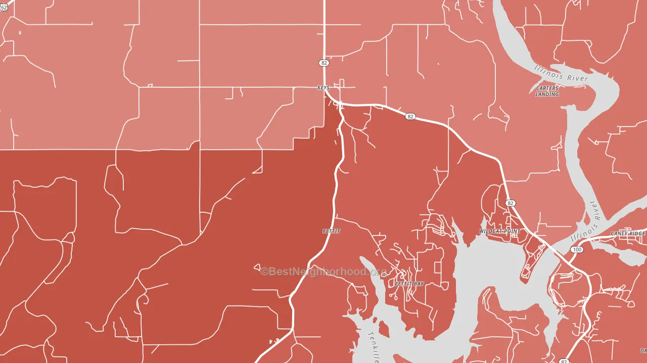 Pettit, OK block-group political-lean map