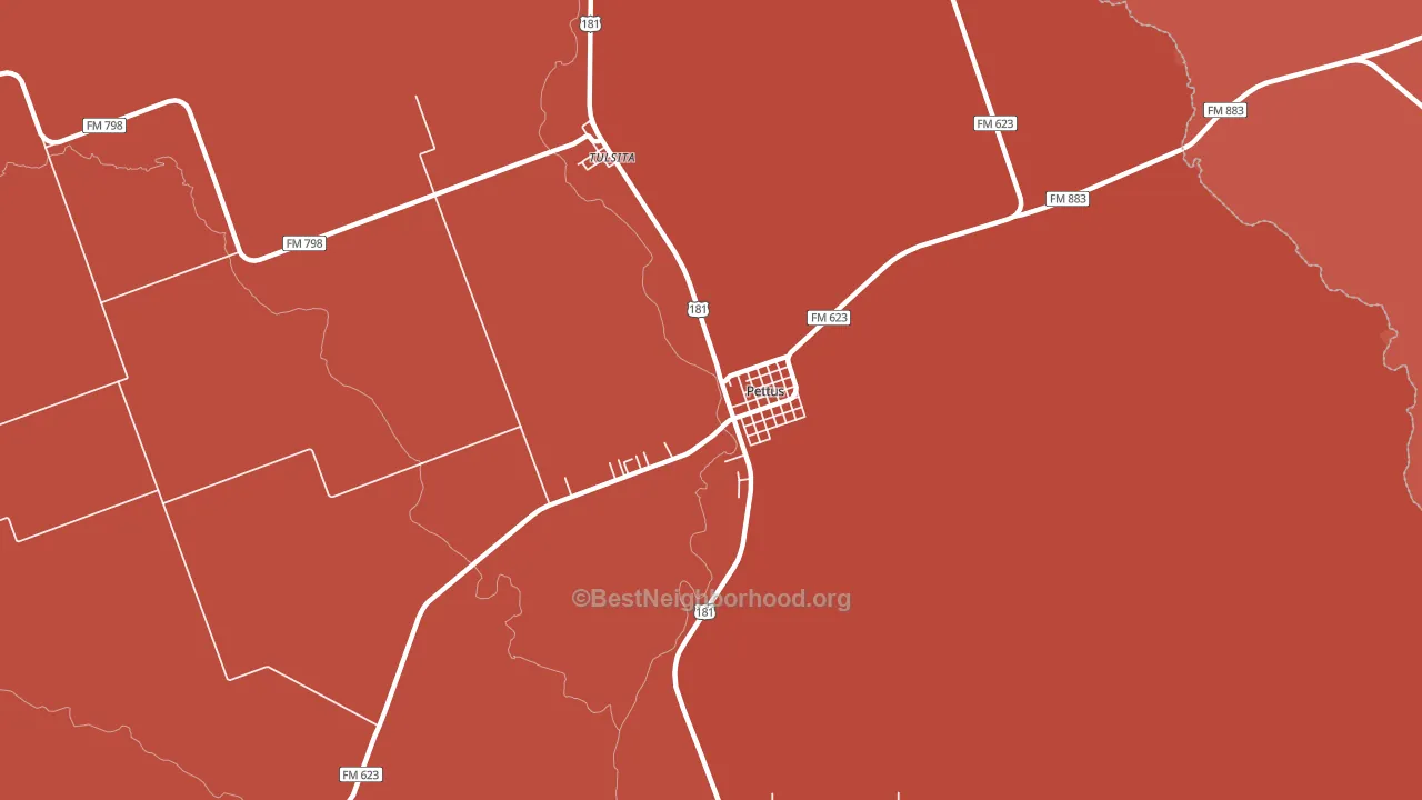 Pettus, TX block-group political-lean map