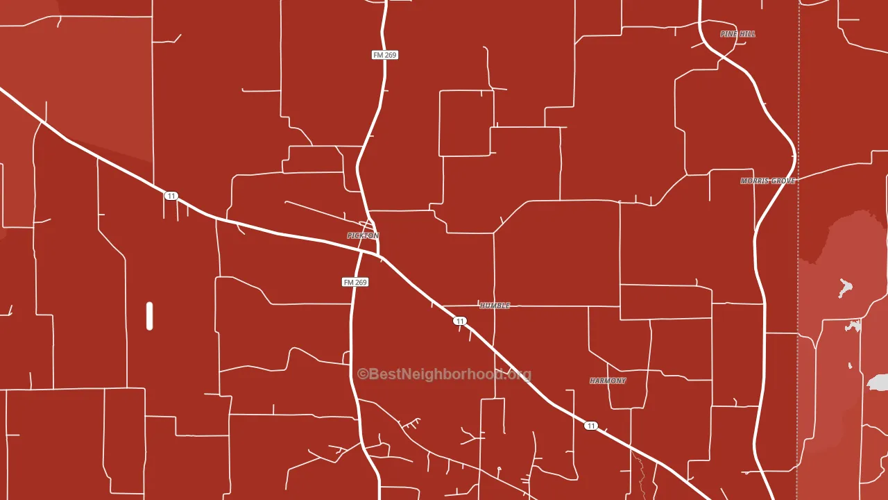Pickton, TX block-group political-lean map
