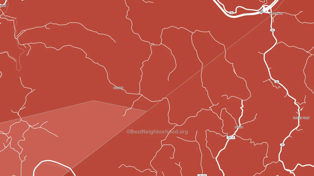 Pigeon, WV block-group political-lean map