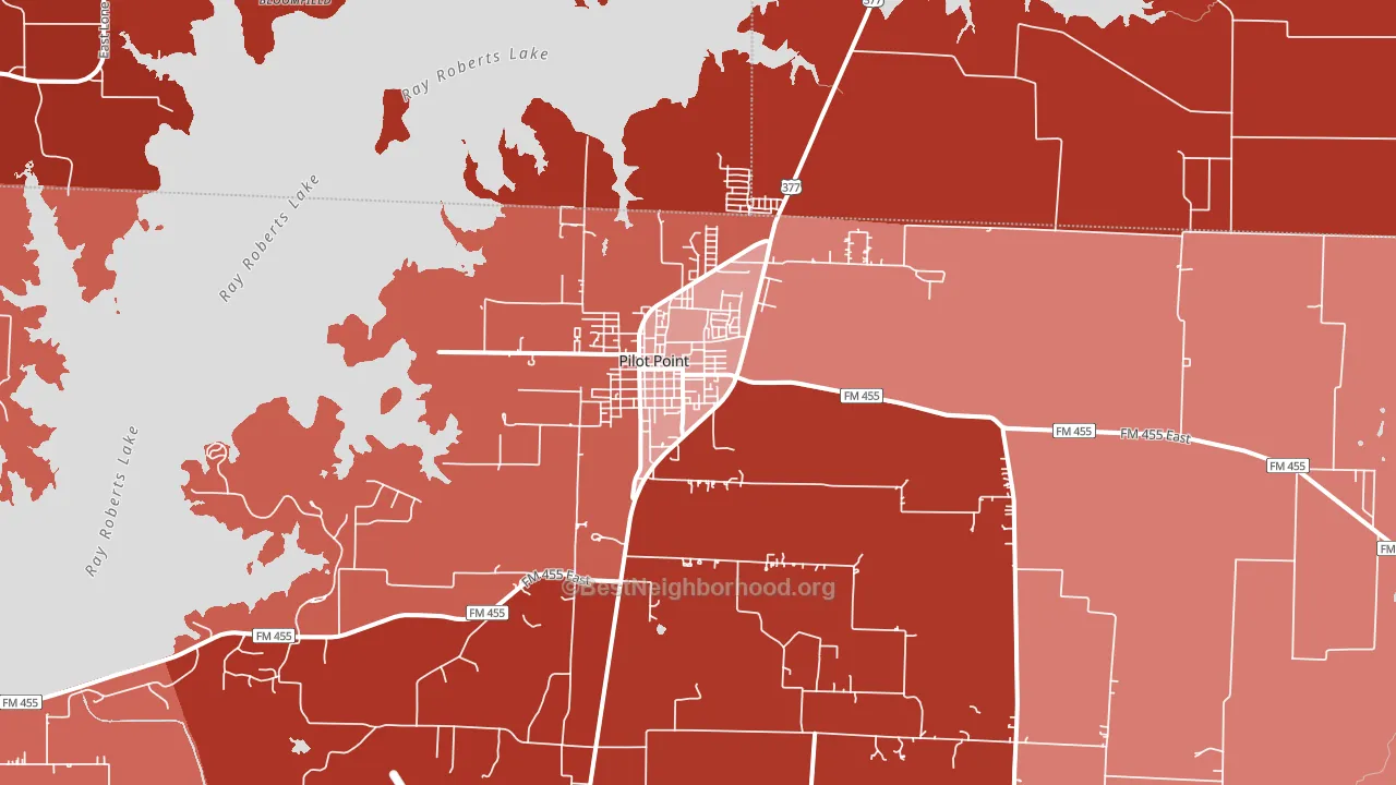 Pilot Point, TX block-group political-lean map