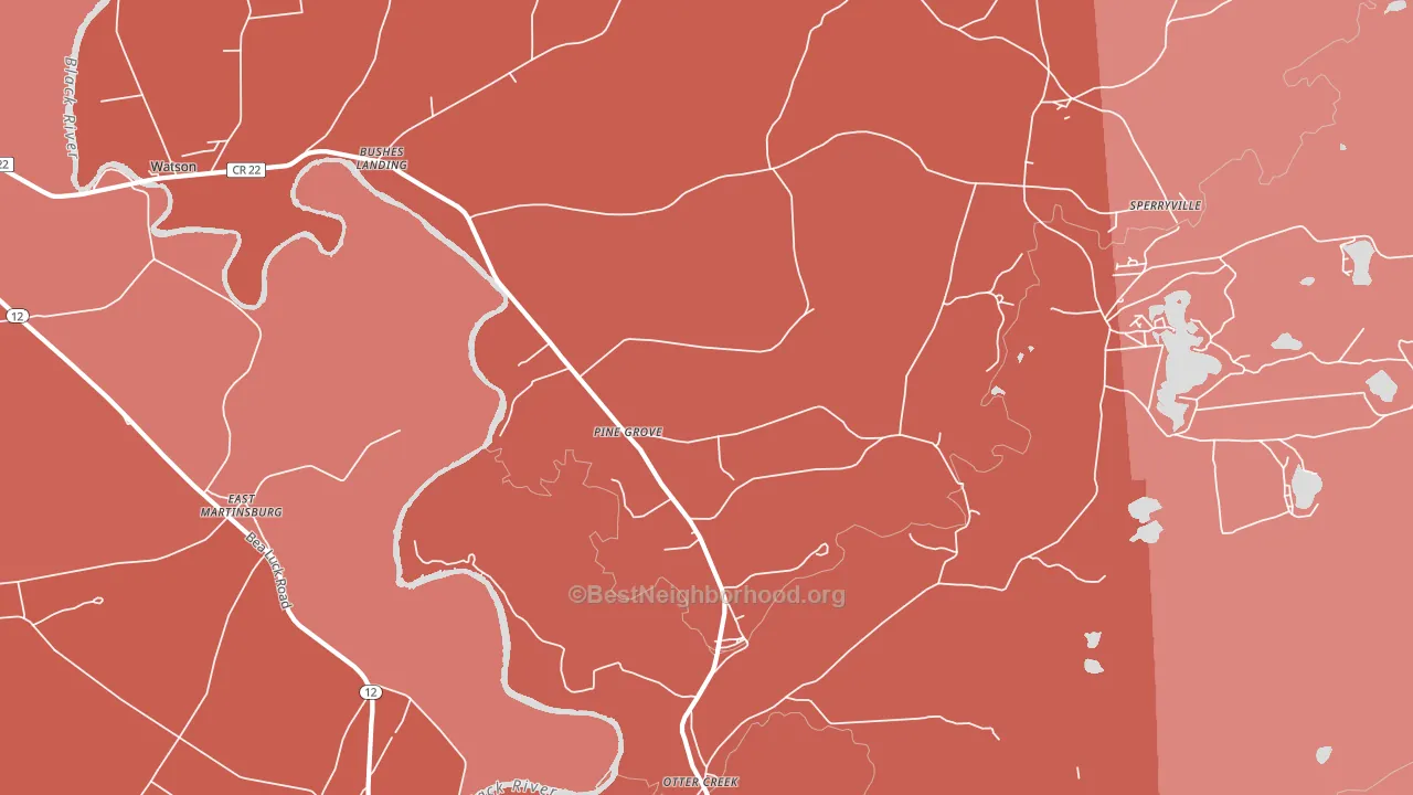 Pine Grove, NY block-group political-lean map