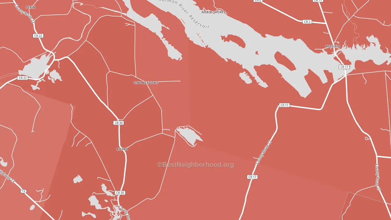 Pine Meadows, NY block-group political-lean map
