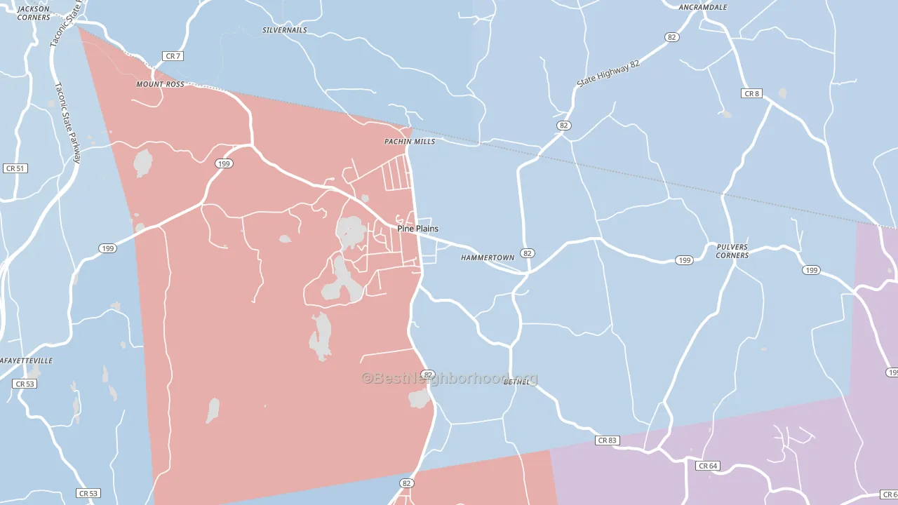 Pine Plains, NY block-group political-lean map