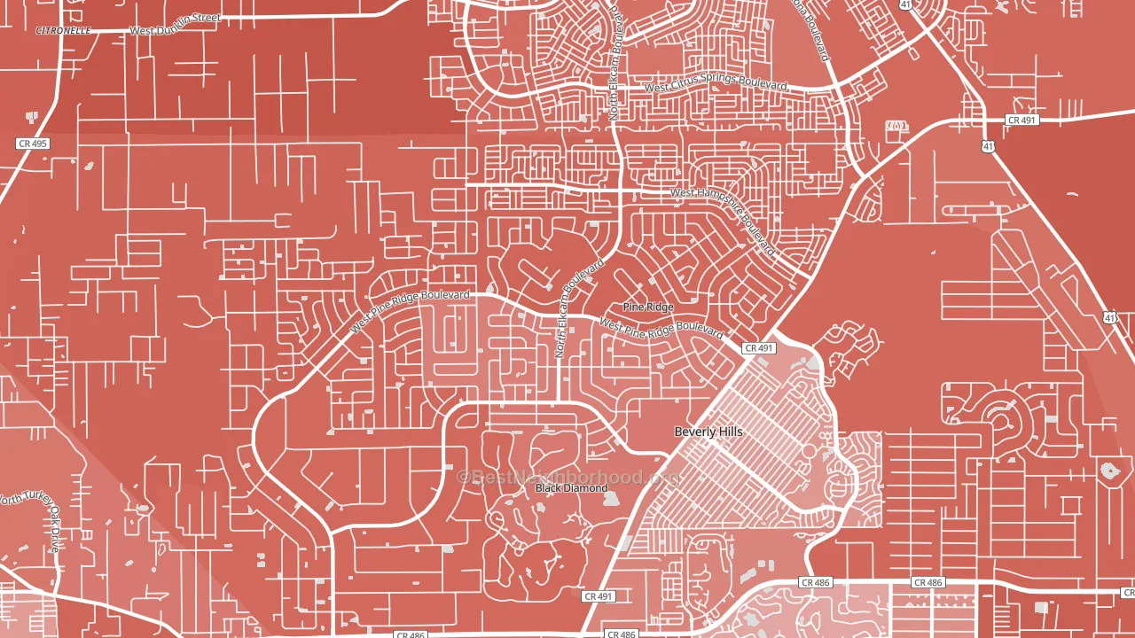 Pine Ridge, FL block-group political-lean map