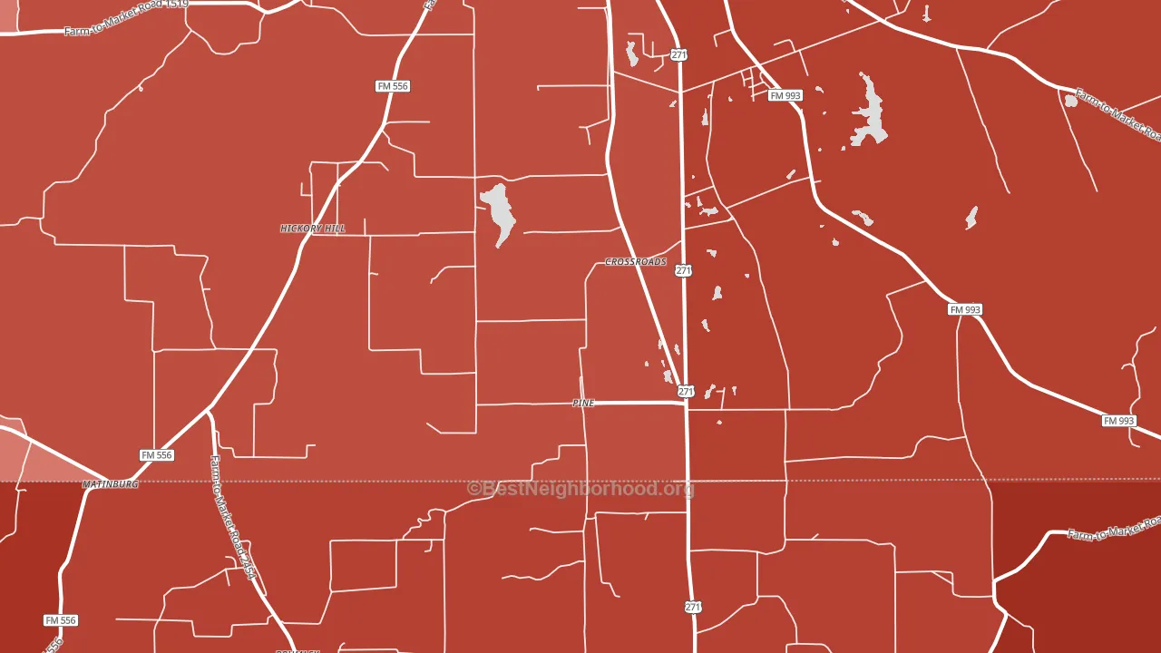 Pine, TX block-group political-lean map