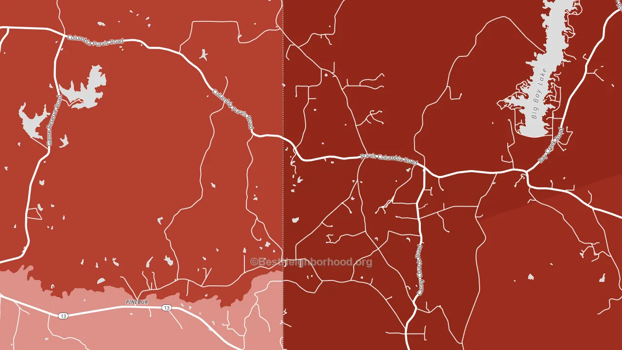 Pinebur, MS block-group political-lean map
