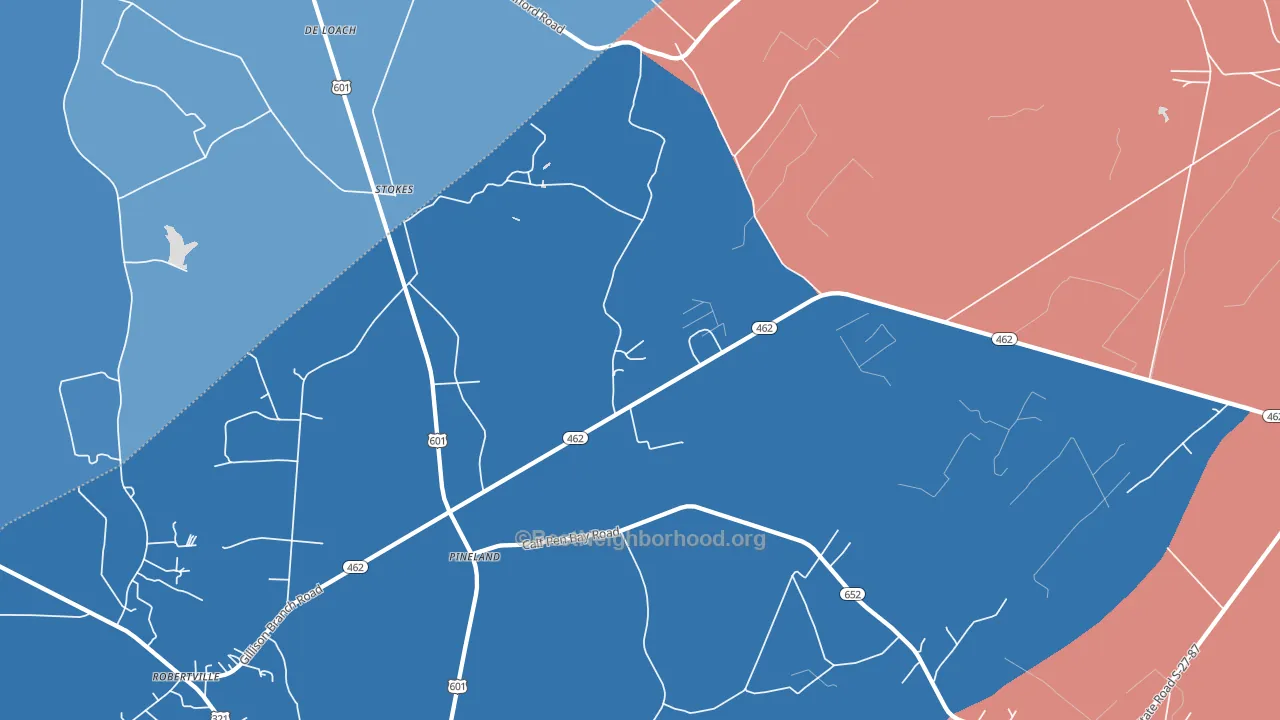 Pineland, SC block-group political-lean map