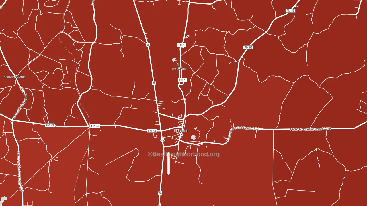 Pineland, TX block-group political-lean map