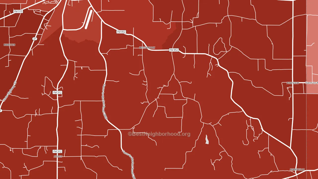 Pineview, TX block-group political-lean map