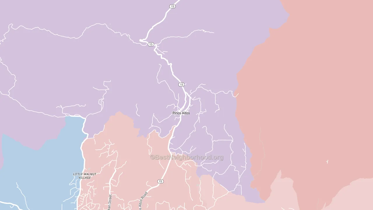 Pinos Altos, NM block-group political-lean map