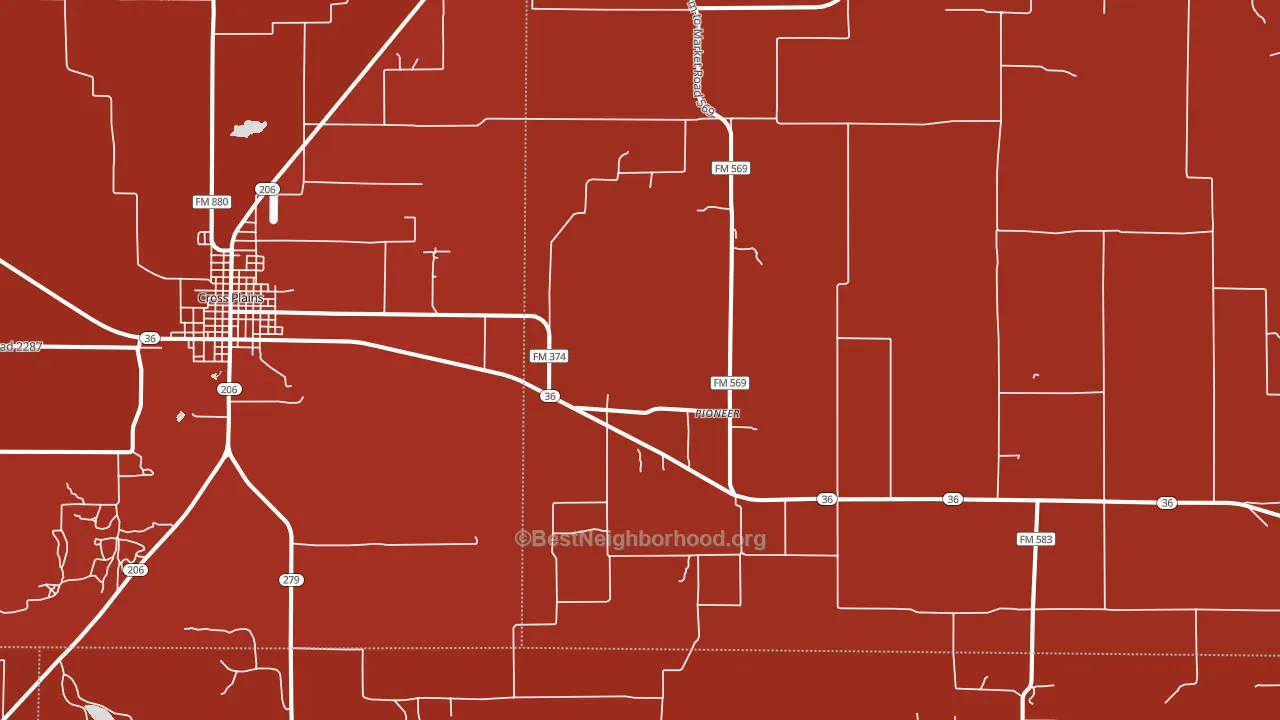 Pioneer, TX block-group political-lean map