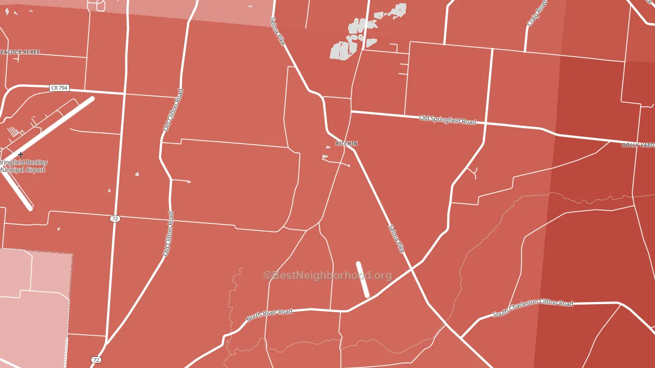 Pitchin, OH block-group political-lean map