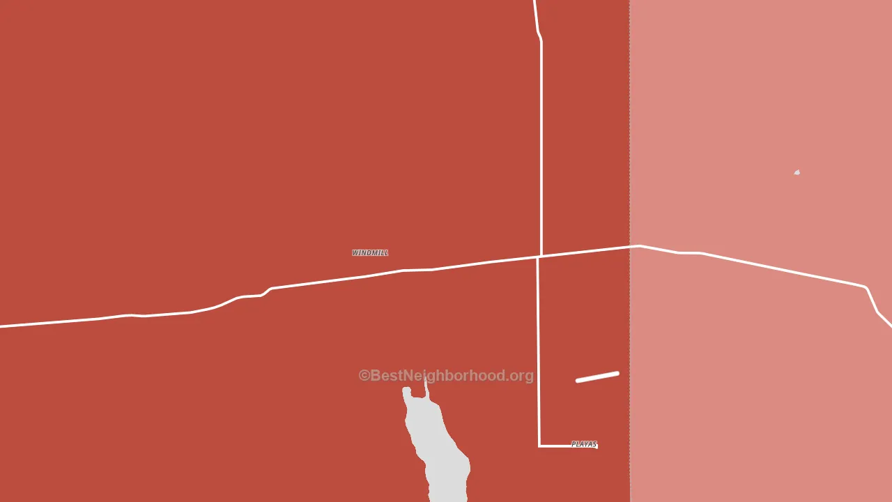 Playas, NM block-group political-lean map