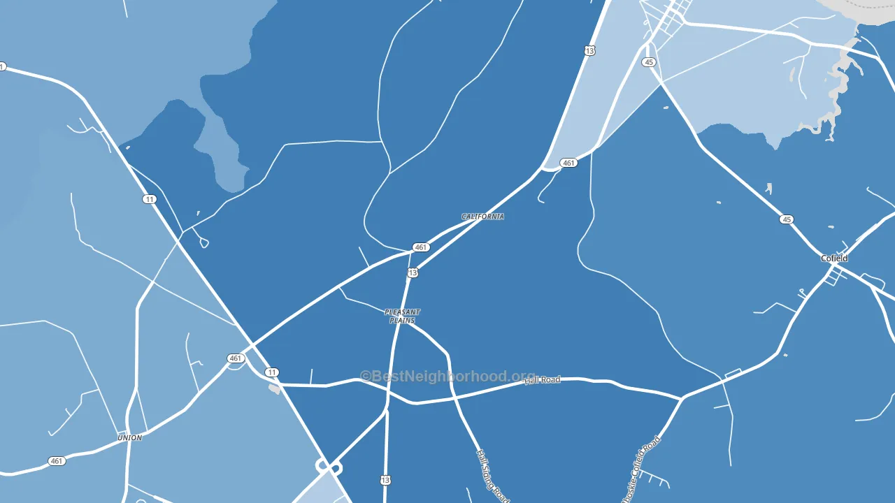 Pleasant Plains, NC block-group political-lean map